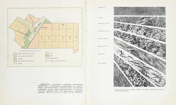 Зерновое хозяйство. [Фотоальбом] / Сост. А.Е. Иванов, Г.Д. Каплан, Е.А. Коган, Е.И. Ляшенко; худож. оформ. Н.А. Шишловского. М.: ОГИЗ «Сельхозгиз», 1940.